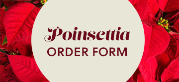 Poinsettia Orders