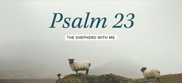 Women’s Study: Psalm 23: The Shepherd With Me, by Jennifer Rothschild